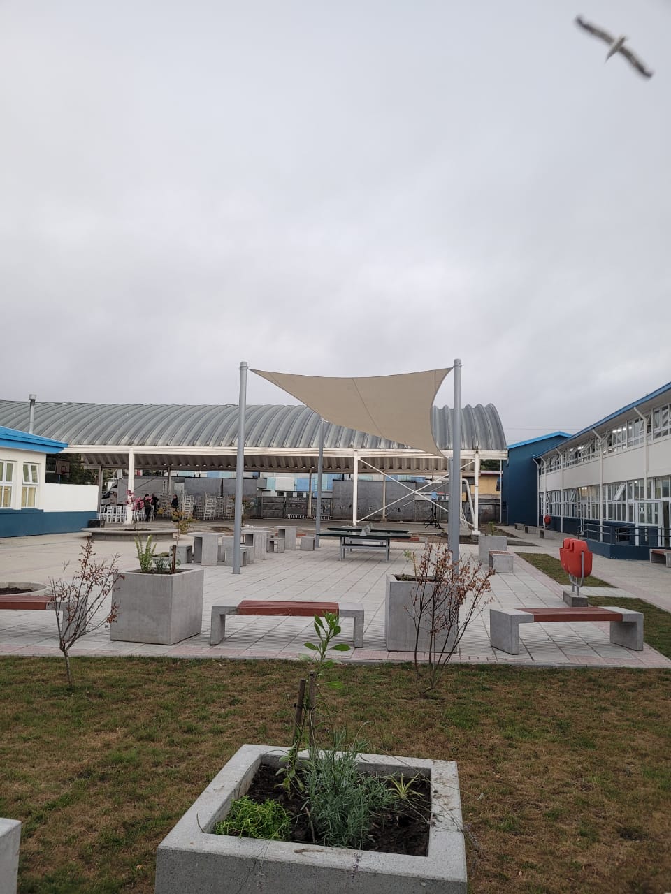 Imagen del proyecto